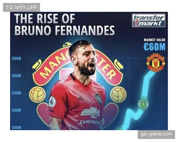 内维斯高强度压迫下的抗压表现解析