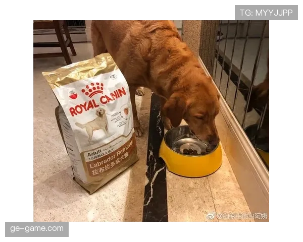 张琳芃家的狗都吃进口粮，他本人却顿顿水煮鸡胸肉